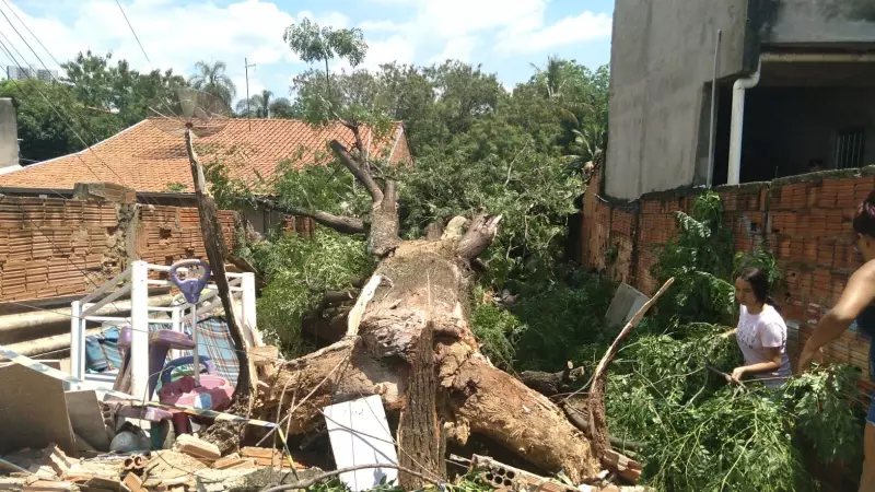 Temporal Devasta Sumaré: Famílias Desalojadas, Escolas Fechadas e Comércios Destruídos
