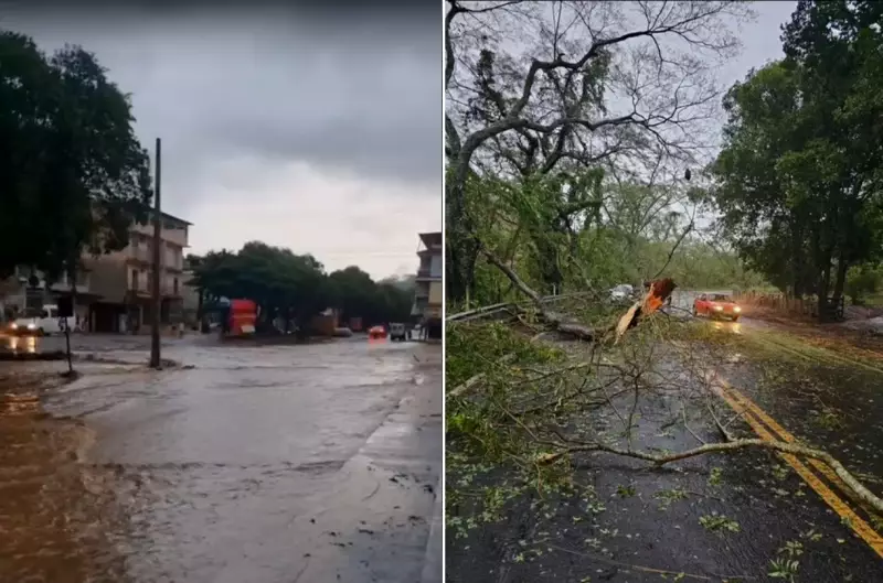 Temporal no RJ: Moradora Desabafa ao Encontrar Casa Destruída - 'Foi um Pesadelo'