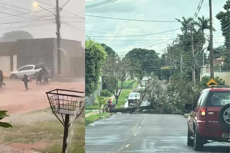 Temporal transforma ruas de Campo Grande em rios e derruba árvores; veja imagens