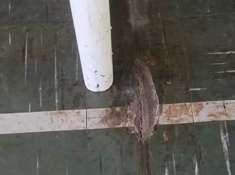 Tragédia no Paraná: Menino de 11 Anos Morre Após Trave de Gol Cair Sobre Ele em Casa