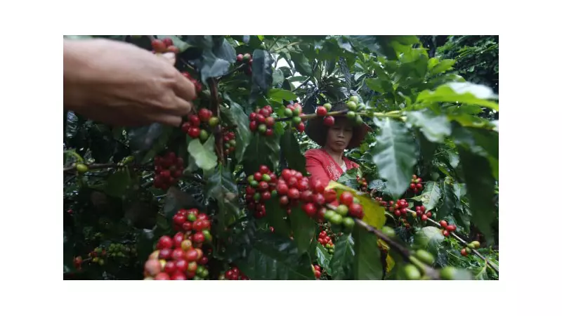 Trump reduz tarifas e Brasil recupera fôlego no mercado dos EUA