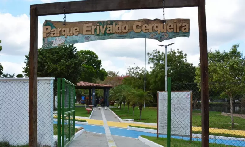 TV Subaé promove piquenique literário em Feira de Santana no dia 28