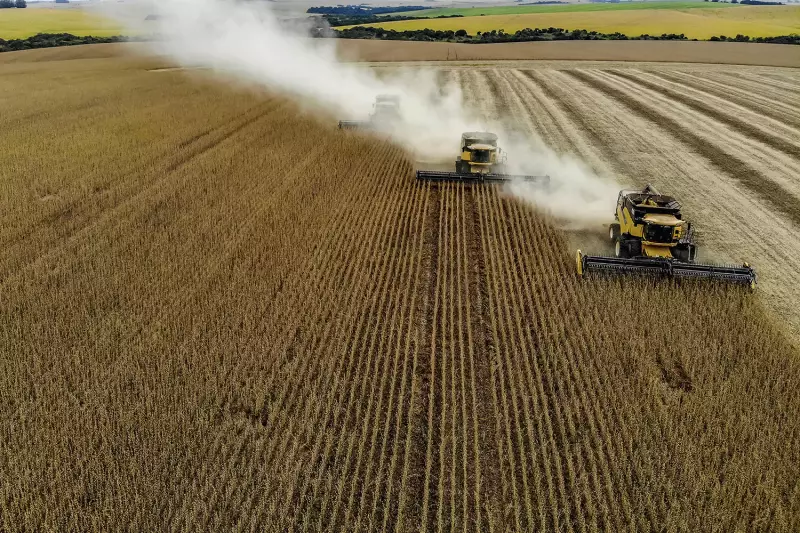 VEJA Fórum Agro debate sustentabilidade no agronegócio em SP