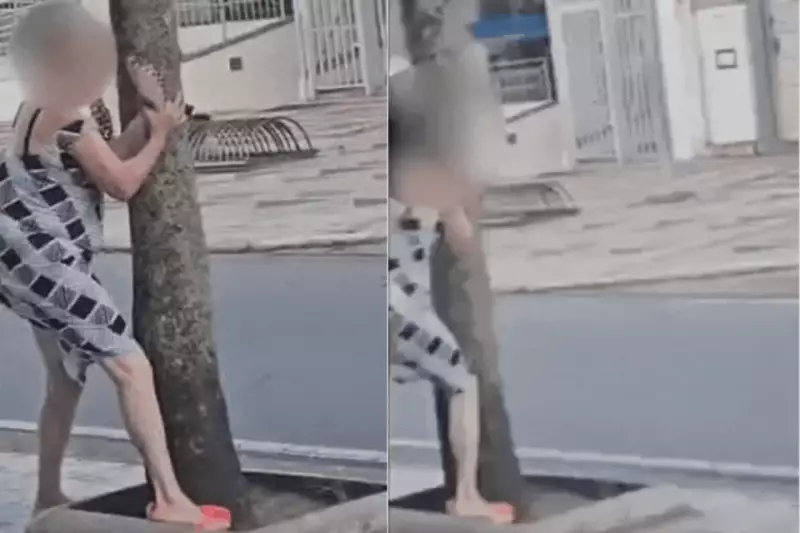 Ventos de 74 km/h arrastam pessoas no litoral de SP; mulher se agarra a árvore