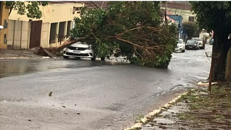 Ventos de quase 100 km/h e chuva forte causam destruição em Sacramento e cidades do Triângulo Mineiro