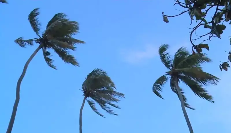 Ventos fortes acima de 50 km/h atingem Alagoas até sexta-feira
