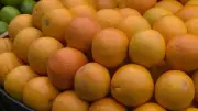 Atraso nos Salários Abala Citricultura: Demanda por Laranjas Cai e Preços Desabam