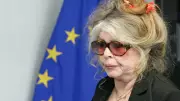 Brigitte Bardot, 91, internada novamente na França após cirurgia