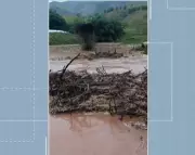 Cabeça D'Água: Fenômeno Raro Assusta Zona Rural de Cantagalo Após Animal Ser Atingido por Raio