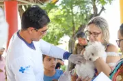 Campanha antirrábica em Petrolina: meta é vacinar 61 mil animais