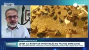 China reabre mercado para frango brasileiro após embargo por gripe aviária