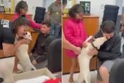 Cão desaparecido volta para casa e emociona crianças em Santos; vídeo do reencontro comove a web