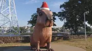 Escultura de capivara gigante de 3 metros vira atração em Rio Preto