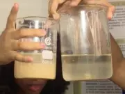 Feira de Ciências no AC apresenta 178 projetos sobre água e sustentabilidade