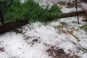 Granizo assusta interior de MG: chuva de gelo em Campo Florido
