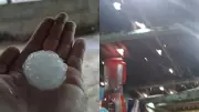 Granizo do tamanho de ovos causa estragos em Guarapuava, PR