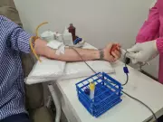 Hemoce inicia Semana do Doador com shows e serviços gratuitos