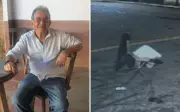 Idoso de 88 anos é morto e corpo transportado em carrinho de mão