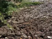 Lixo acumulado há meses ameaça Rio Piracicaba em área tombada