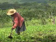 Mais de 2.500 produtores da PB têm até 2026 para atualizar cadastro