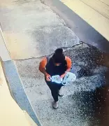 Mulher é presa em flagrante por envenenar cachorros em Juiz de Fora: caso choca moradores