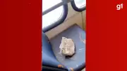 Ônibus é alvo de pedradas no Centro de São Luís; cenas de vandalismo chocam