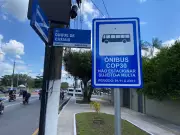 Ônibus Gratuito nos Feriados: Saiba Como Funciona a Catraca Livre em Novembro