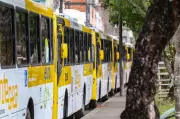 Nova Linha de Ônibus Conecta Bairros de Salvador: Conheça o Itinerário e Tarifas