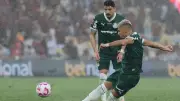 Palmeiras precisa de 3 vitórias e tropeço do Flamengo para título brasileiro