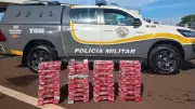Paraguaios presos com 125 kg de maconha em Santa Cruz do Rio Pardo