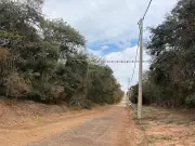 Ponte suspensa a 16 metros protege muriquis-do-sul em Barreiro Rico