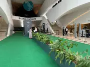 Príncipe William troca tapete vermelho por verde em premiação sustentável no Rio