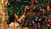 Árvore de Natal: 500 anos de história e significado espiritual