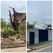 Tempestade em Curvelo: Ventos Fortes e Chuva Causam Estragos e Deixam Rastro de Destruição