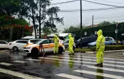 Temporal em Campinas: Árvores caem, muro desaba e alagamentos tomam ruas durante chuva intensa