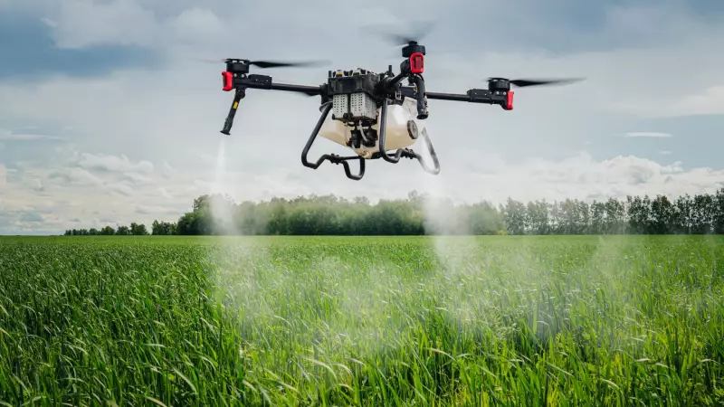 2025: O ano em que a ciência superou desafios globais com inovações