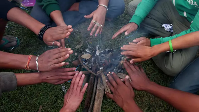 5 mitos de sobrevivência que podem matar você na natureza