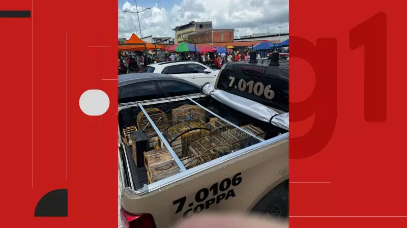 55 aves silvestres são apreendidas em operação contra tráfico em Simões Filho, BA