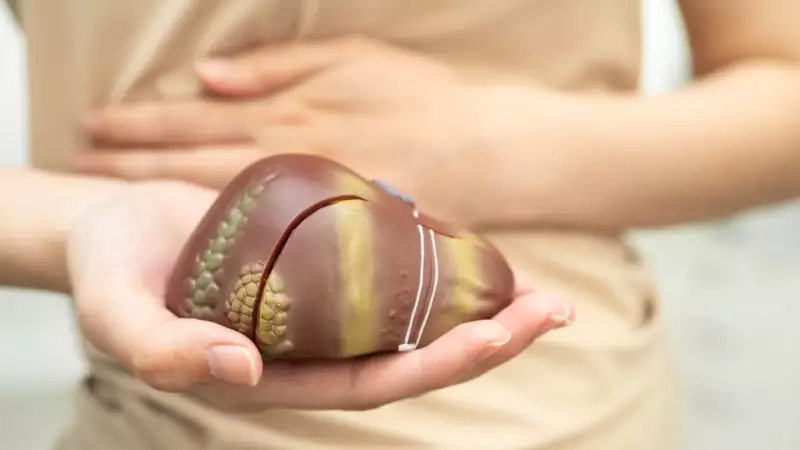 6 bebidas que desintoxicam o fígado e hábitos essenciais para saúde hepática