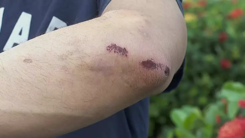 Acidente com BMW termina em briga e agressões a testemunha em Ribeirão Preto