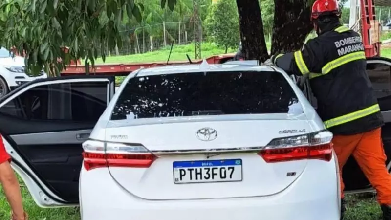 Acidente na BR-010 mata passageiro após carro bater em árvore no MA