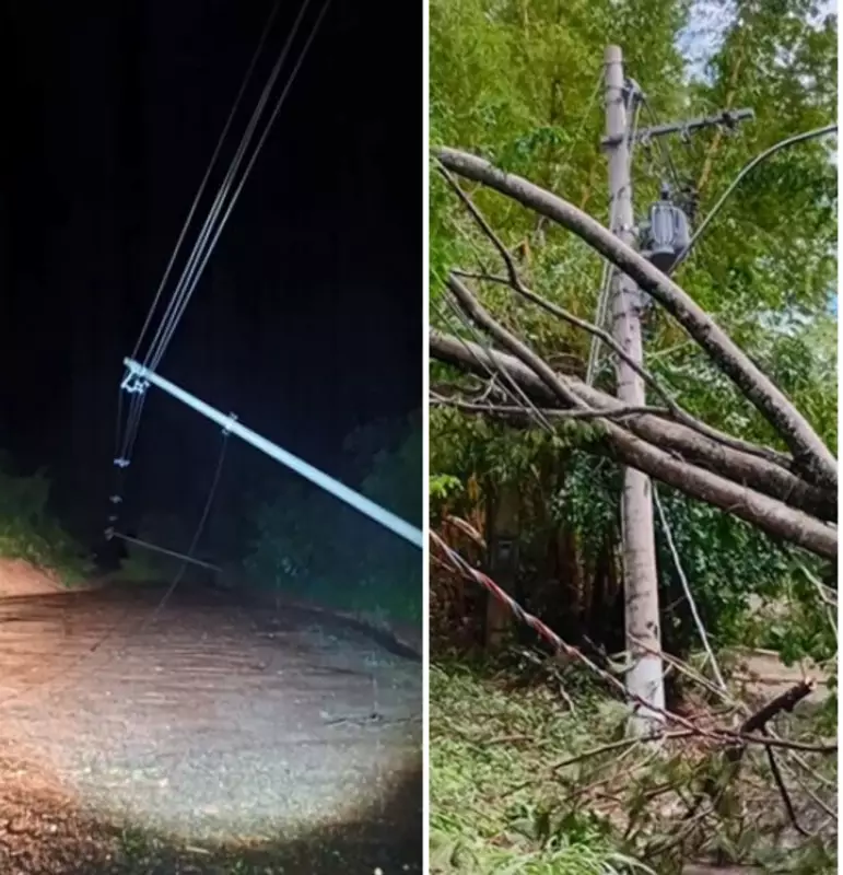 Analândia decreta emergência após vendaval: 43 casas destelhadas e 300 árvores caídas