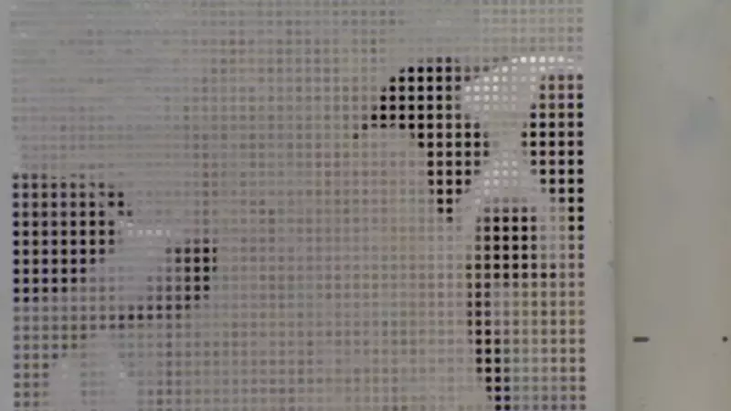 Ataque de cães em Pindamonhangaba: vítima gritou por socorro antes de morrer