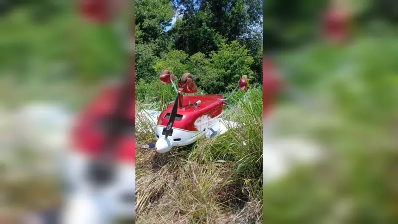 Avião monomotor faz pouso forçado em plantação no Oeste de SC; piloto sai ileso