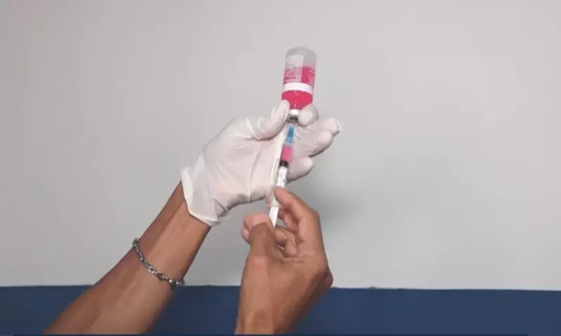 Bahia registra 93 casos de raiva animal em 2025; caso em Salvador é descartado