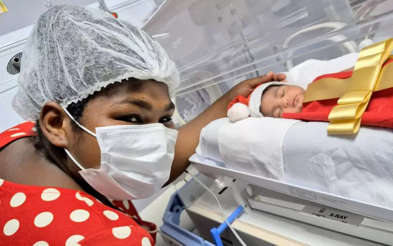 Bebês em UTI da Bahia viram 'presentes de Natal' em ação emocionante