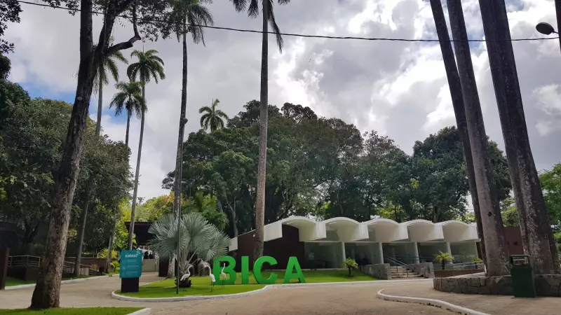 Bica reabre com novas medidas após ataque fatal de leoa em João Pessoa