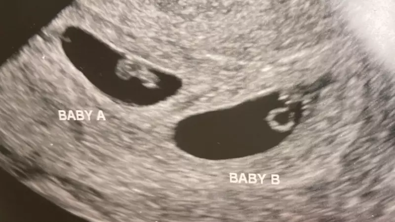 Bilionário chinês tem mais de 100 filhos por barriga de aluguel nos EUA