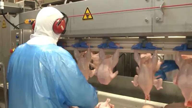 Brasil abre mais de 500 novos mercados agropecuários e gera US$ 3,4 bi em exportações