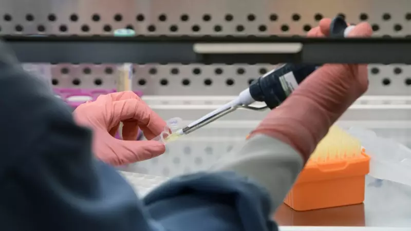 Brasil elimina transmissão vertical do HIV, com taxa abaixo de 2% em 2024